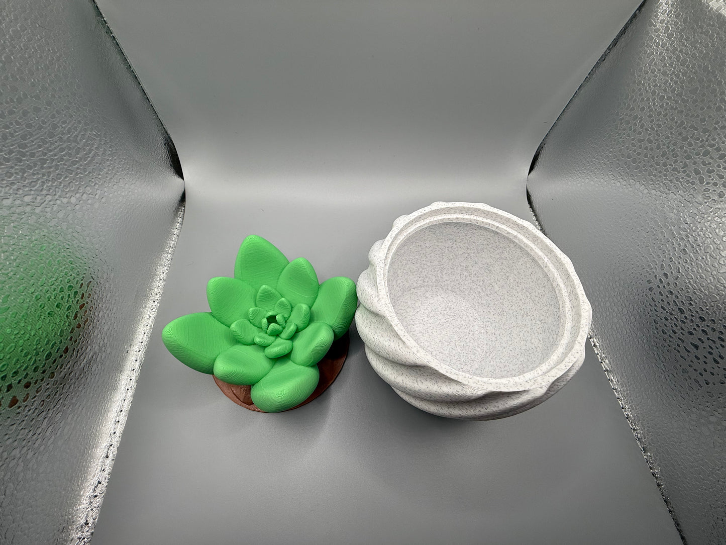 Cactus Pot