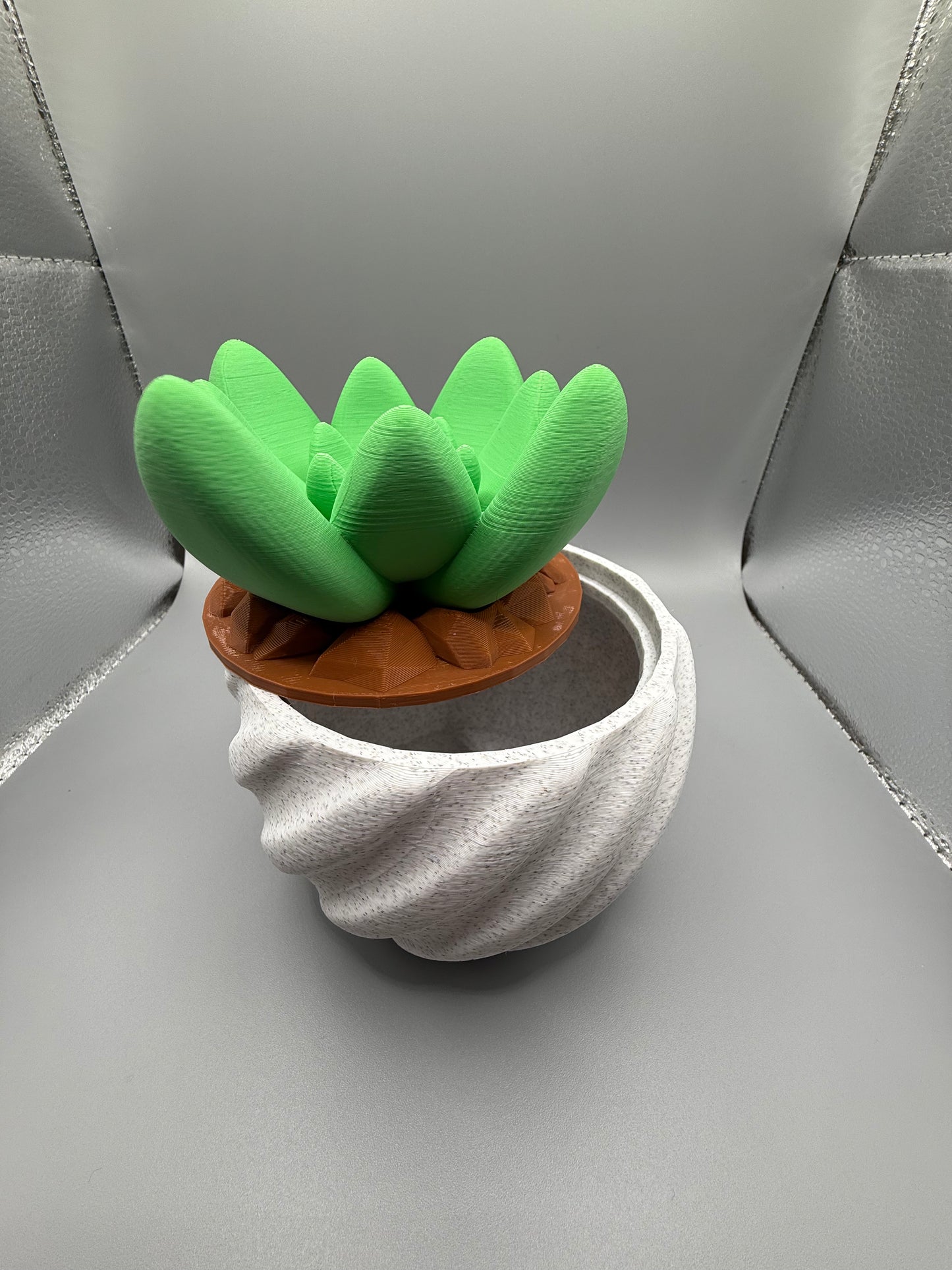 Cactus Pot