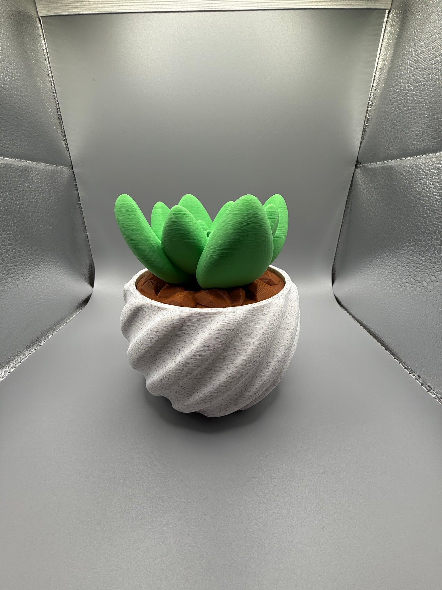 Cactus Pot
