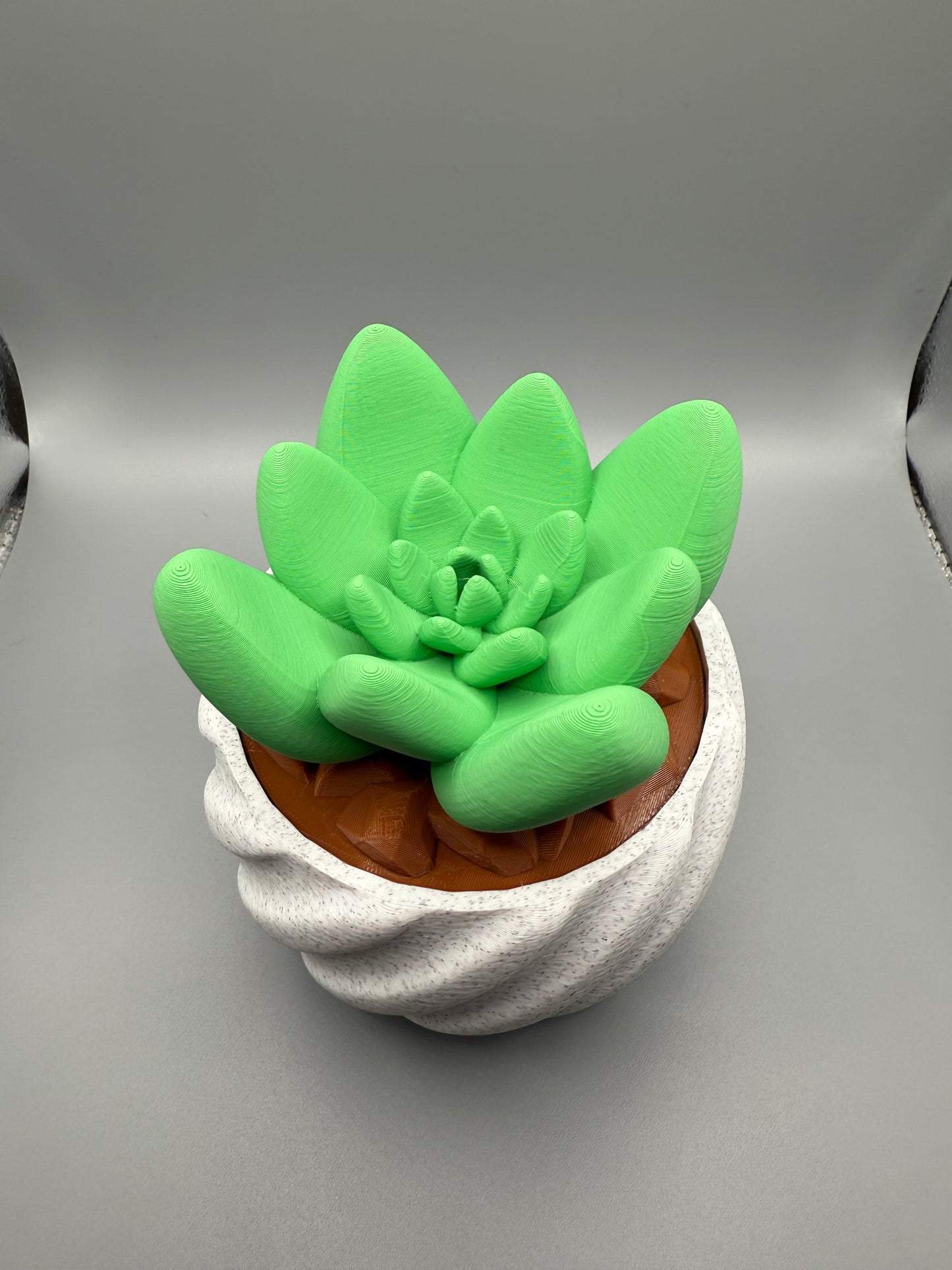 Cactus Pot