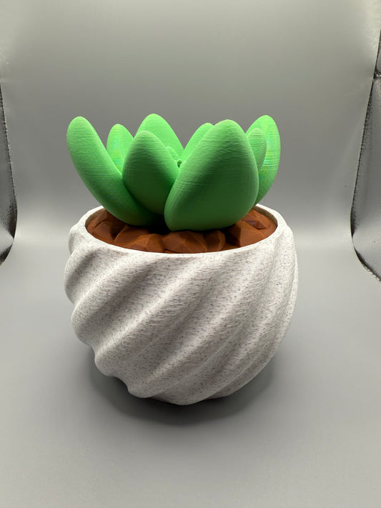 Cactus Pot