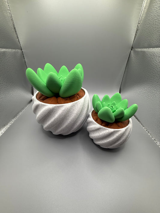 Cactus Pot